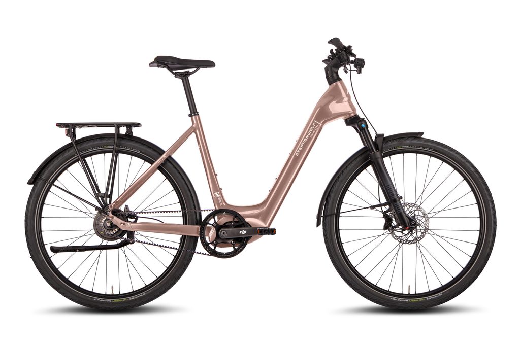 Bicicleta STEPPENWOLF Transterra Easy 9.0 (E-Trekking, aluminio)